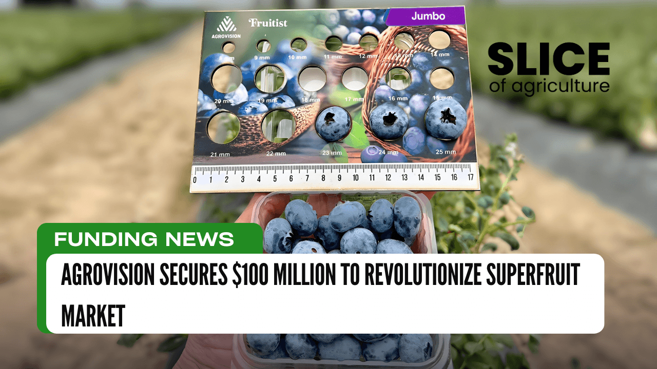 Agrovision Secures $100 Million to Revolutionize Superfruit Market