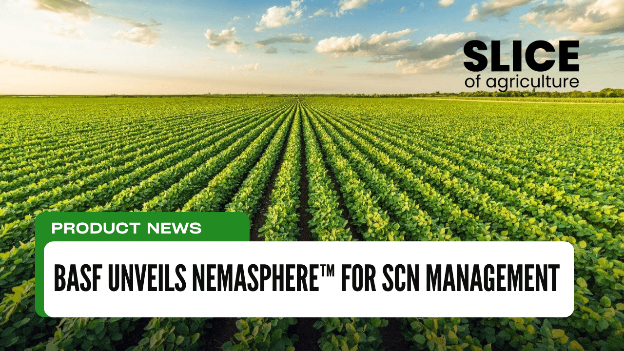 BASF Unveils NemasphereTM for SCN Management