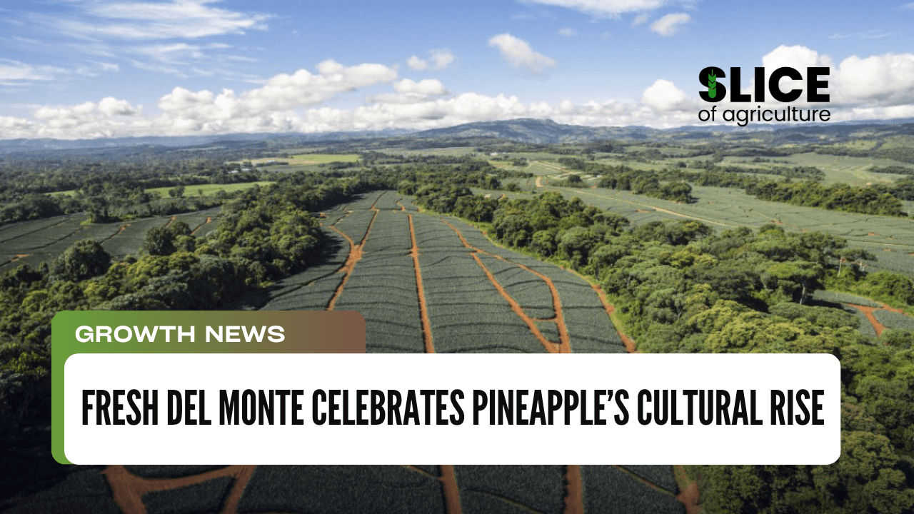 Fresh Del Monte Celebrates Pineapple’s Cultural Rise
