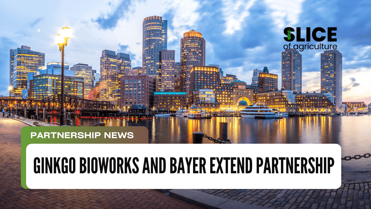 Ginkgo Bioworks and Bayer Extend Partnership