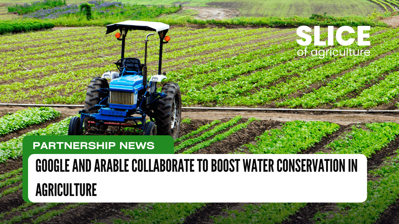 Google and Arable Collaborate to Boost Water Conservation in Agriculture