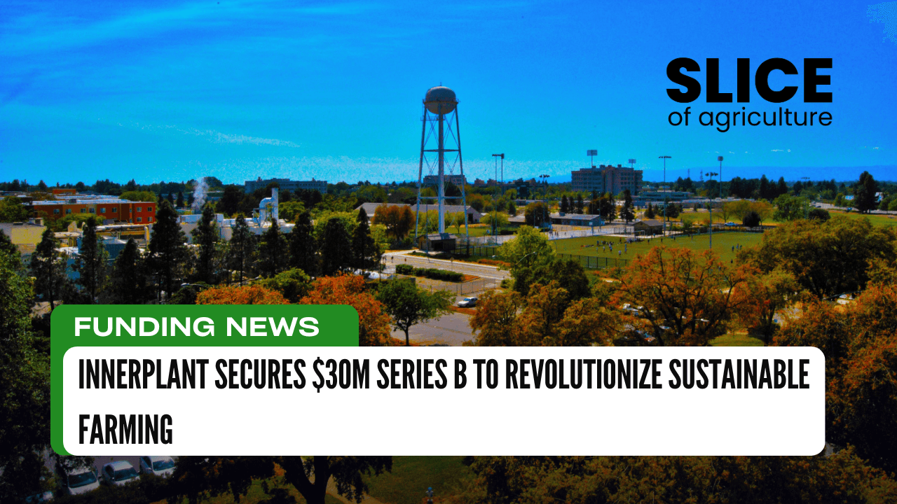 InnerPlant Secures $30M Series B to Revolutionize Sustainable Farming