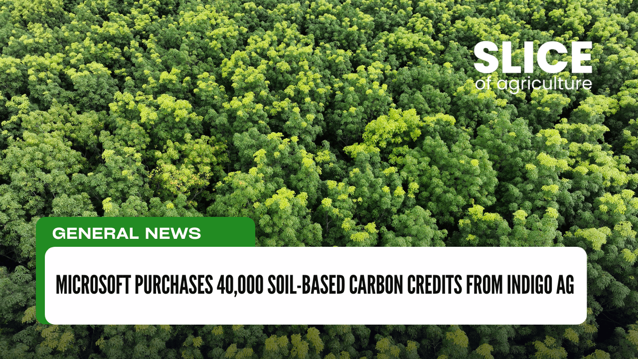 Microsoft Purchases 40,000 Soil-Based Carbon Credits from Indigo Ag