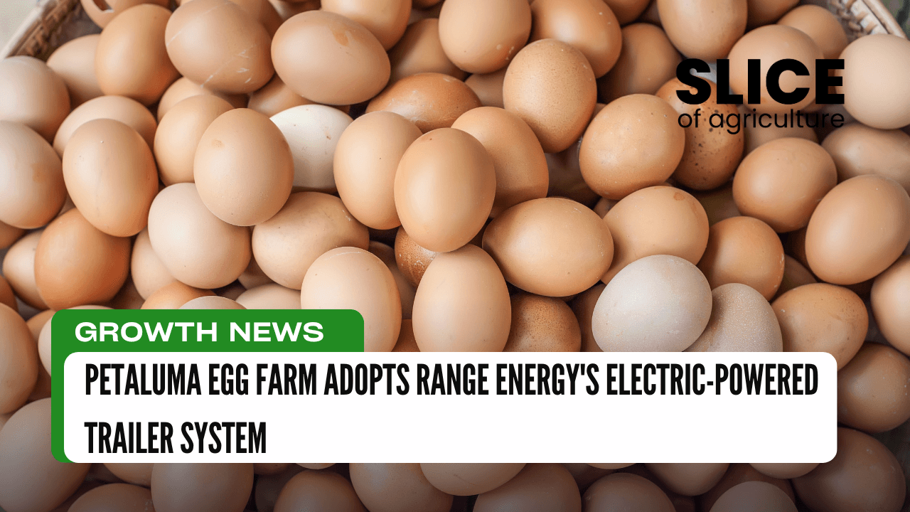 Petaluma Egg Farm Adopts Range Energy's Electric-Powered Trailer System