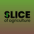 Slice of Agriculture Team author