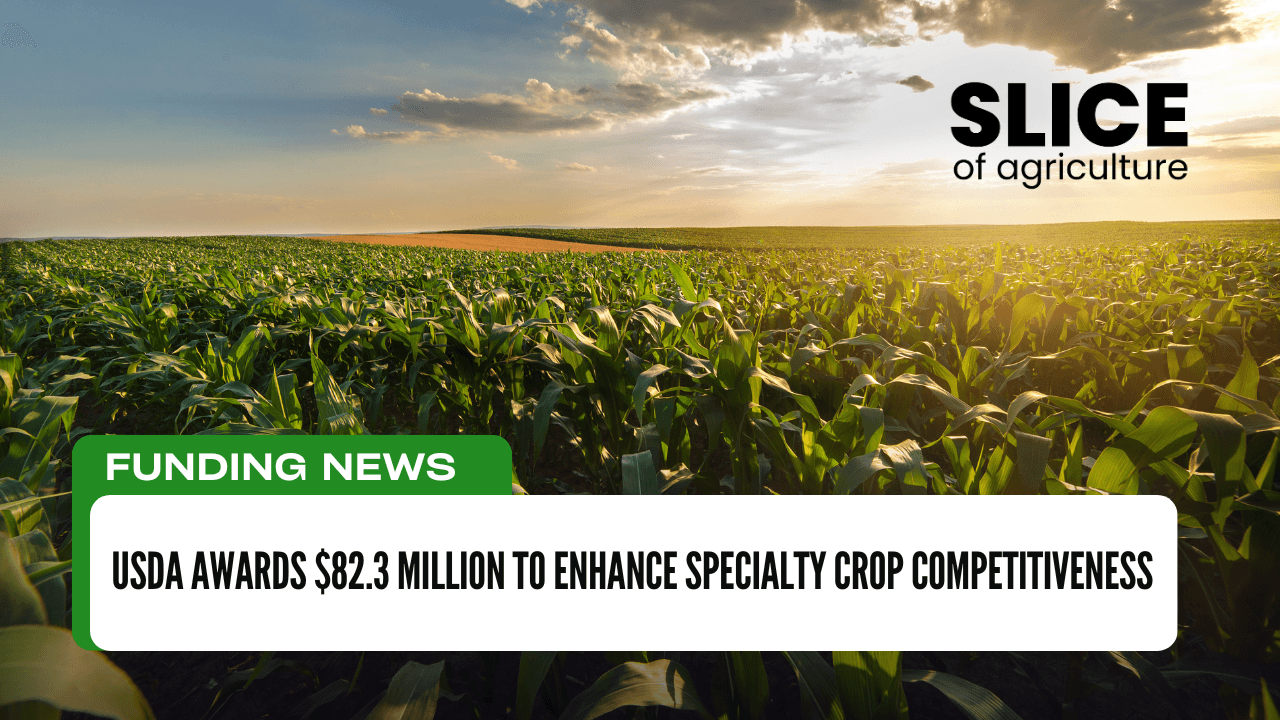USDA Awards $82.3 Million to Enhance Specialty Crop Competitiveness