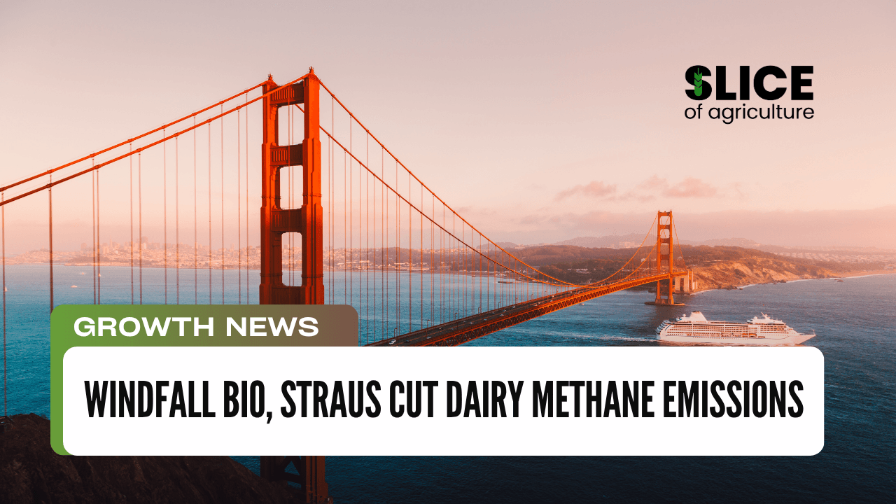 Windfall Bio, Straus Cut Dairy Methane Emissions