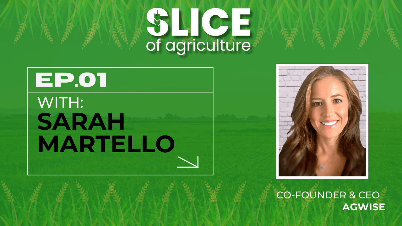 #1 - Sarah Martello, Co-Founder & CEO at AgWise
