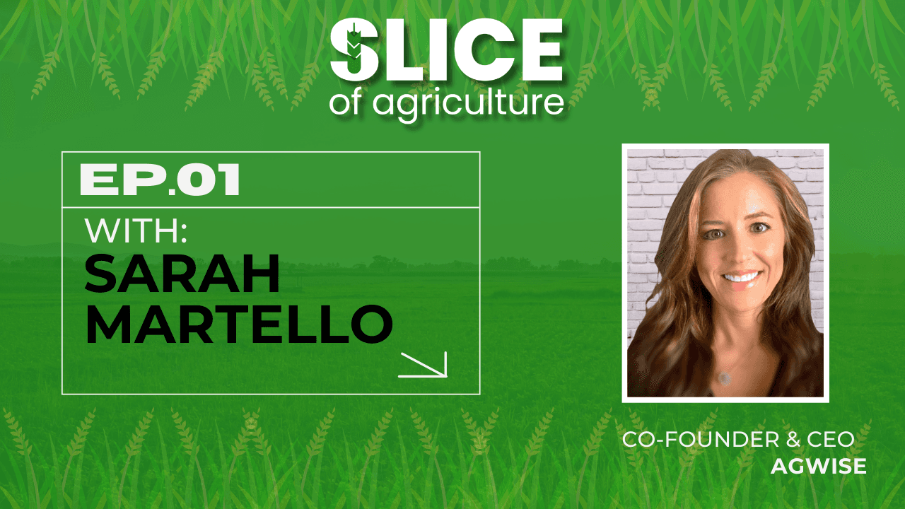 #1 - Sarah Martello, Co-Founder & CEO at AgWise