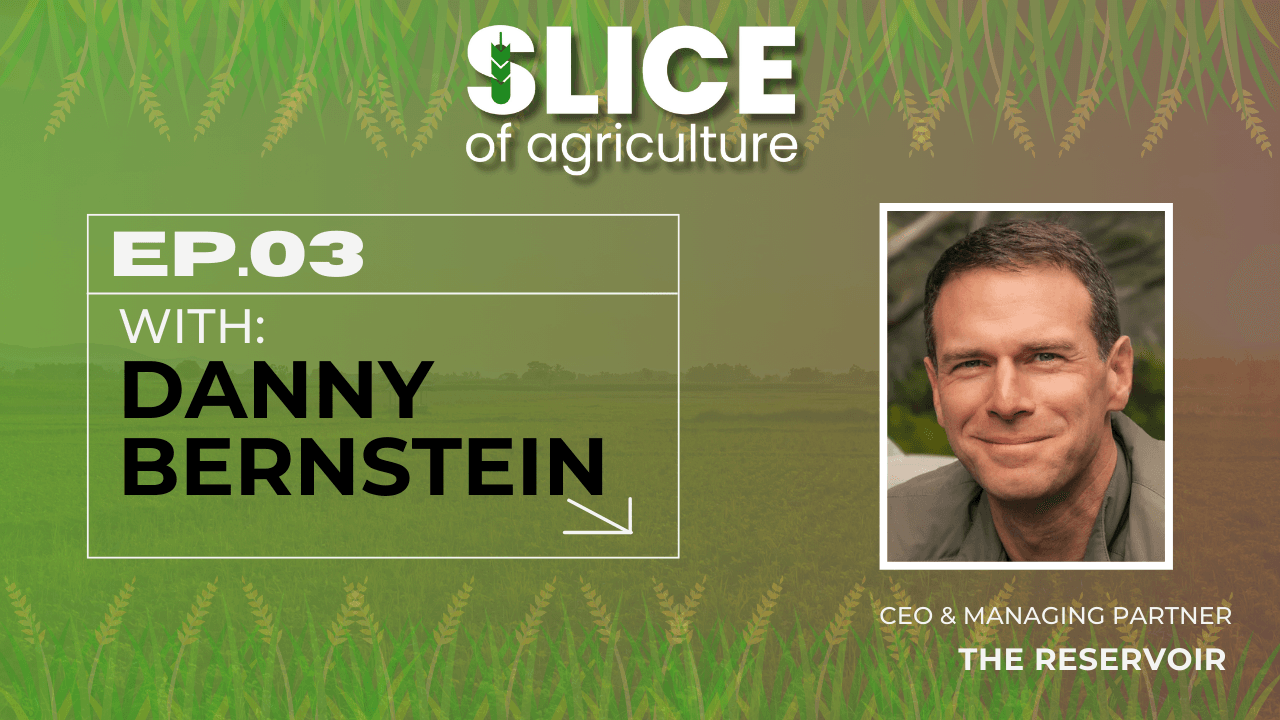 #3 - Danny Bernstein, CEO & Managing Partner at The Reservoir